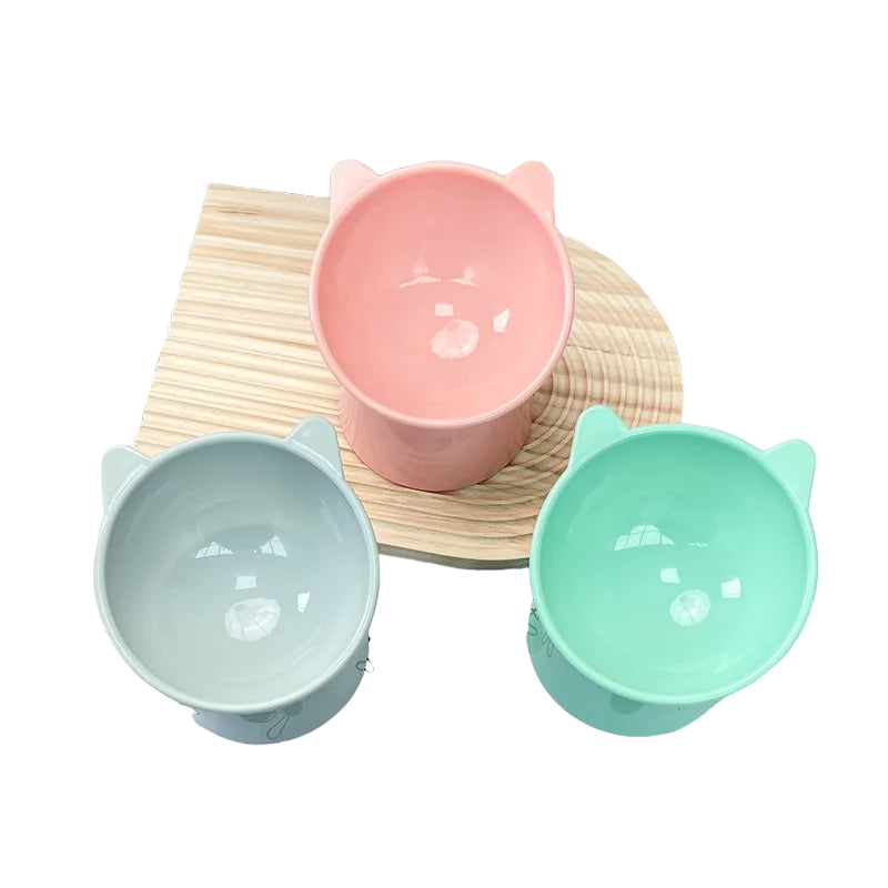 Raised Tilted Pet Bowl