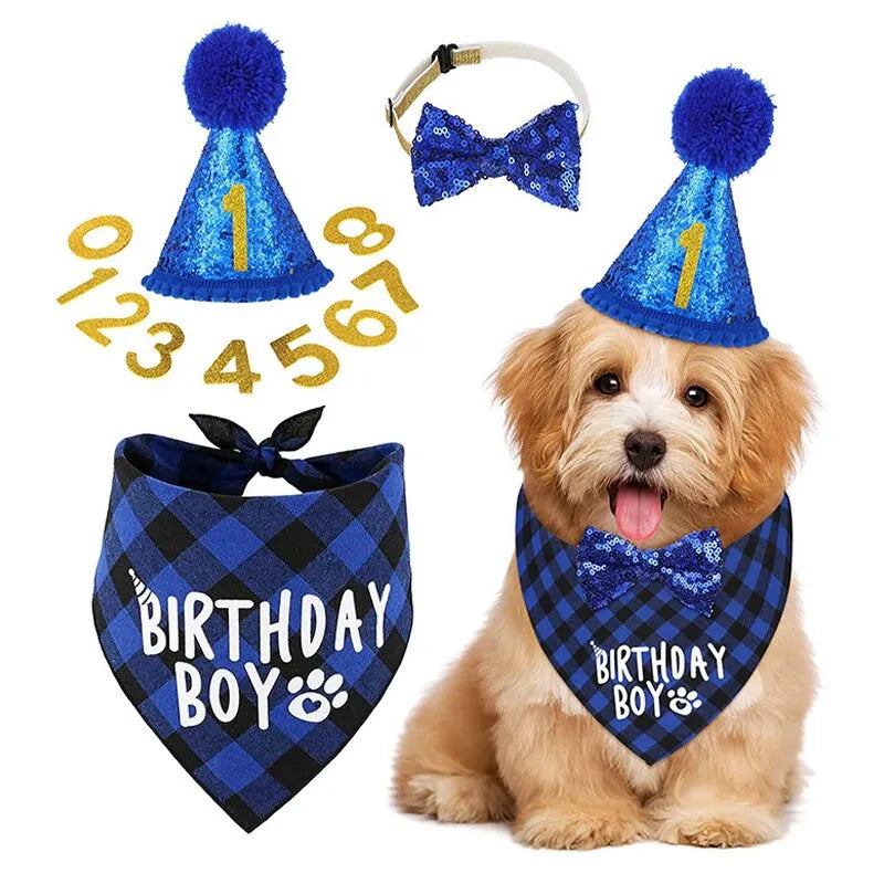 Dog Birthday Party Celebration Set