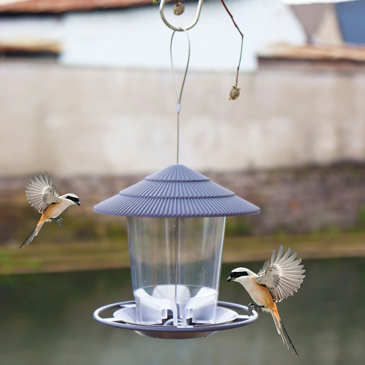 Waterproof Garden Gazebo Hanging Wild Bird Feeder