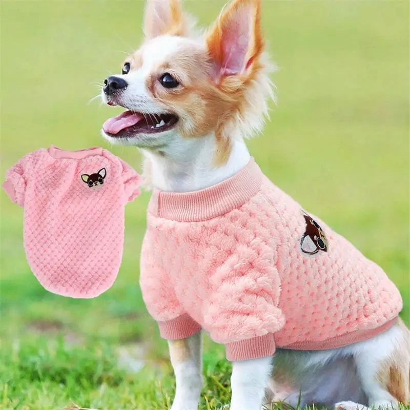Pink Chipmunk Sweater