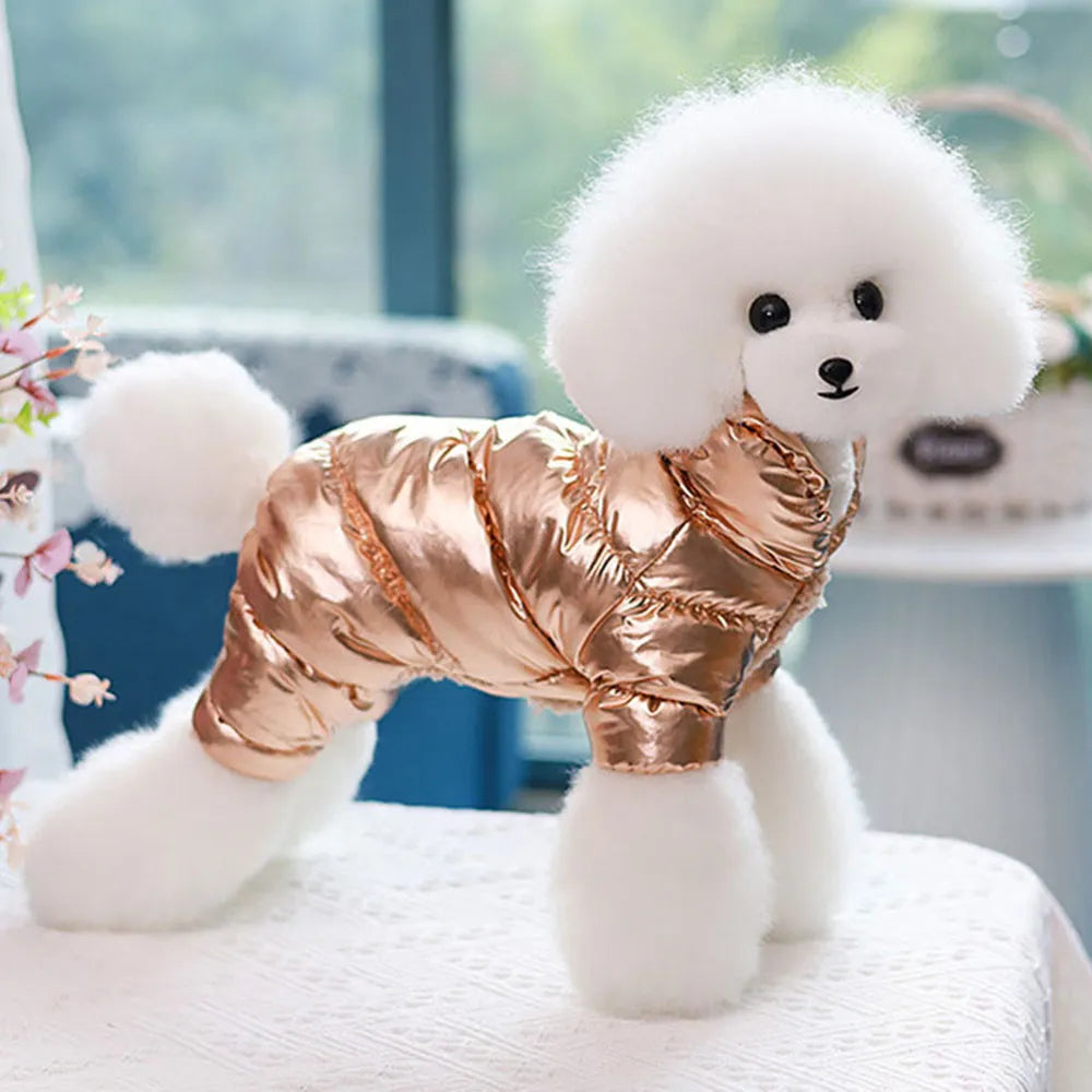 Metallic Pet Coat