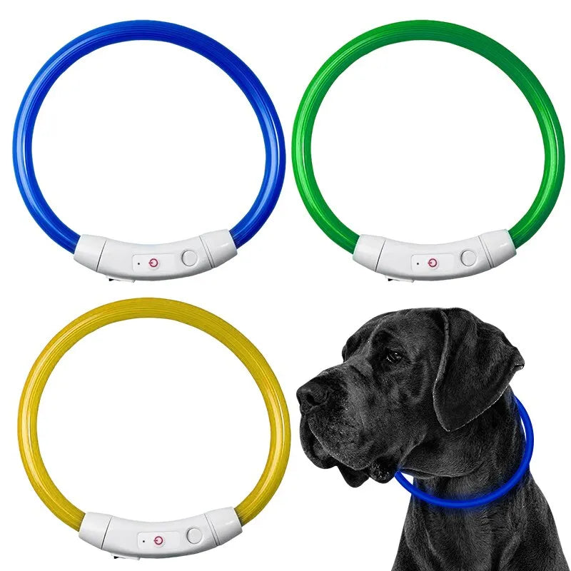 LED Dog Light Up Collars (USB Rechargeable)