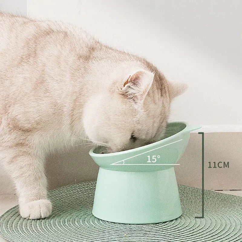 Raised Tilted Pet Bowl