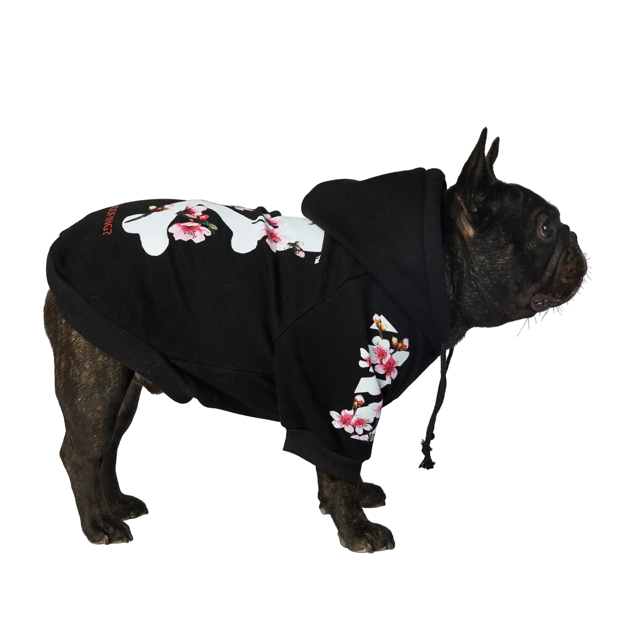 “WOOF” Hoodie