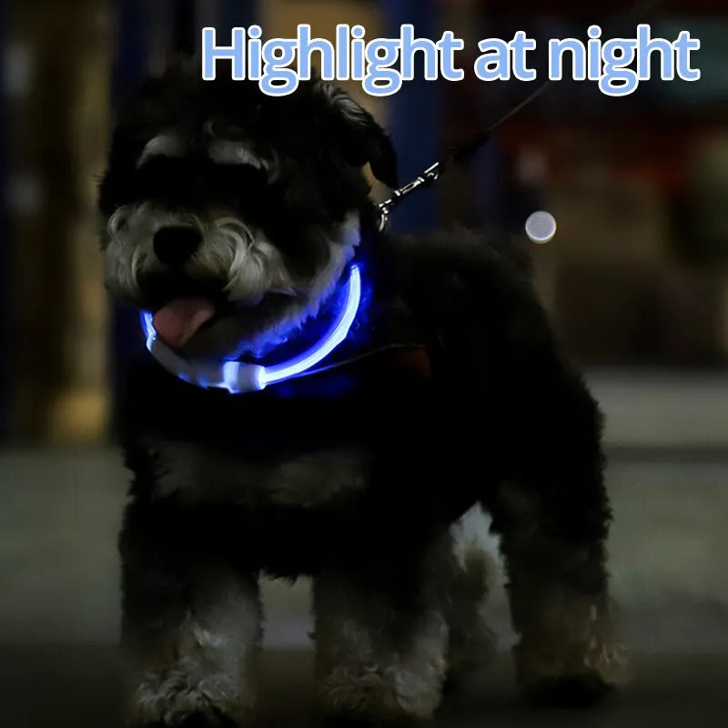 LED Dog Light Up Collars (USB Rechargeable)