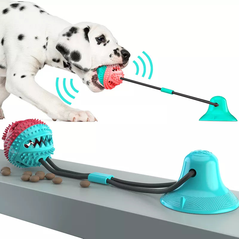 Large Dog Ball Suction Cup