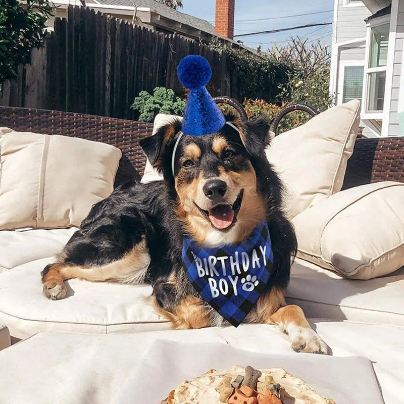 Dog Birthday Party Celebration Set