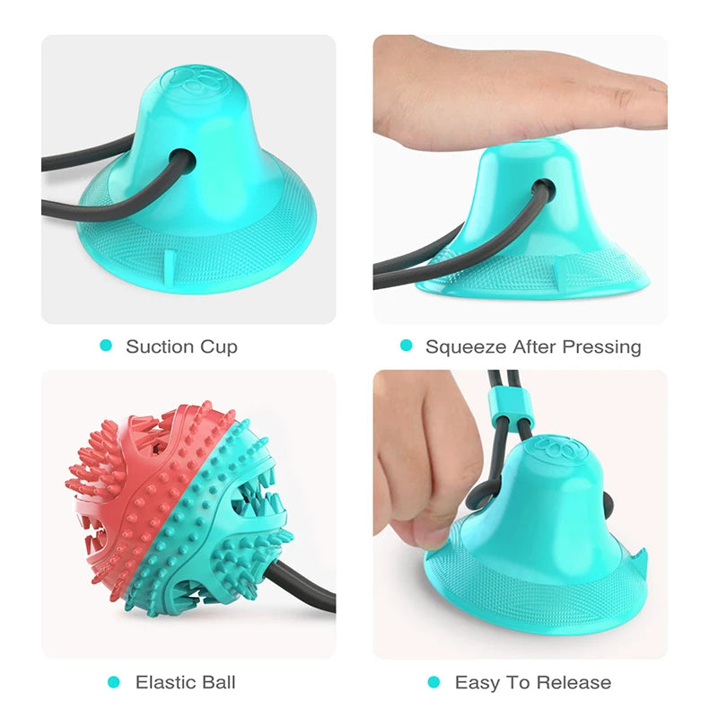 Large Dog Ball Suction Cup