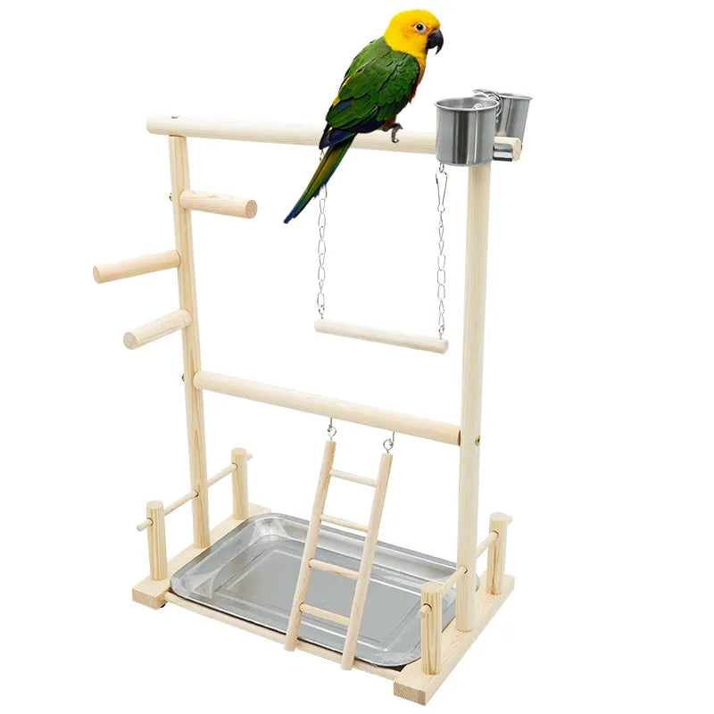 Stainless Steel Cage Stand Double Cups