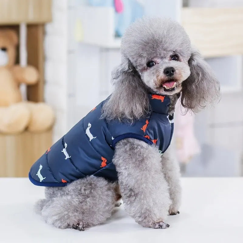 Cool Design Pet Coats