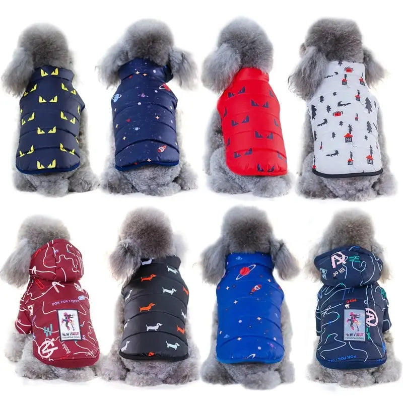 Cool Design Pet Coats