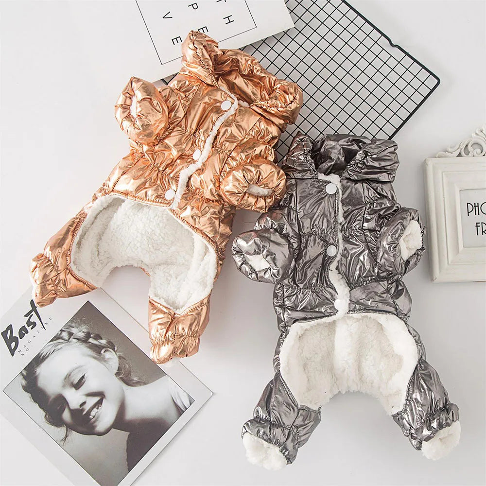 Metallic Pet Coat