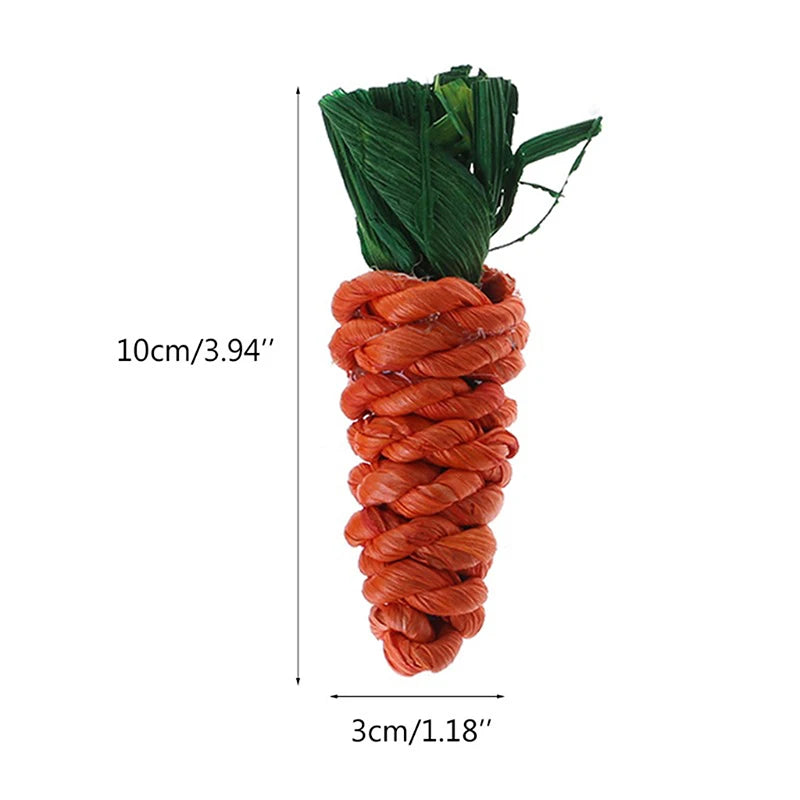 3Pcs/Set Carrot Shaped Small Animal Chew Toy