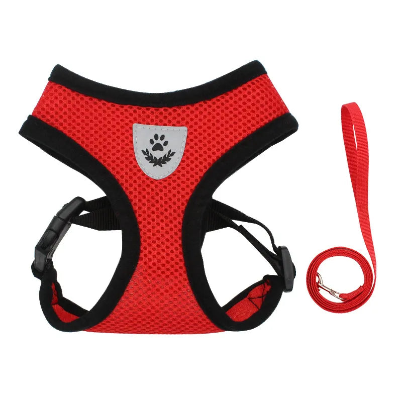 Mesh Dog Harnesses & Leash