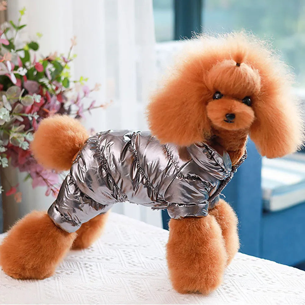 Metallic Pet Coat