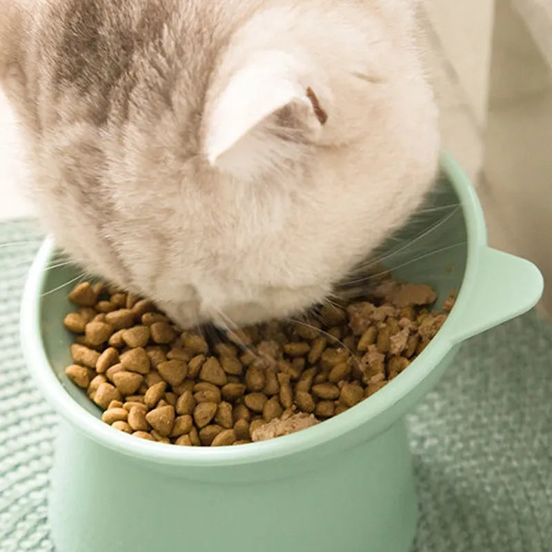 Raised Tilted Pet Bowl