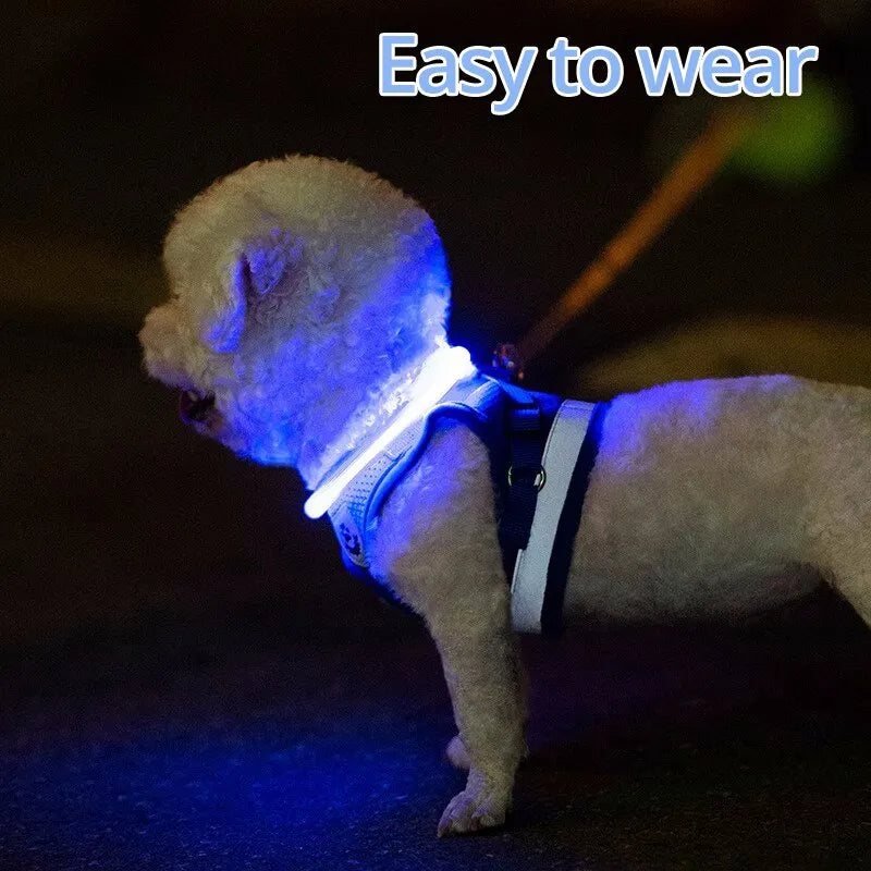 LED Dog Light Up Collars (USB Rechargeable)