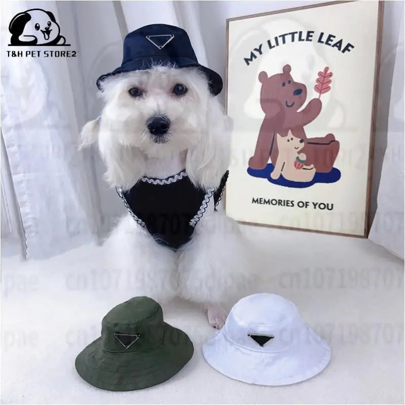 Pawda Bucket Hat