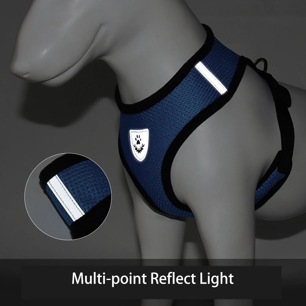 Mesh Dog Harnesses & Leash