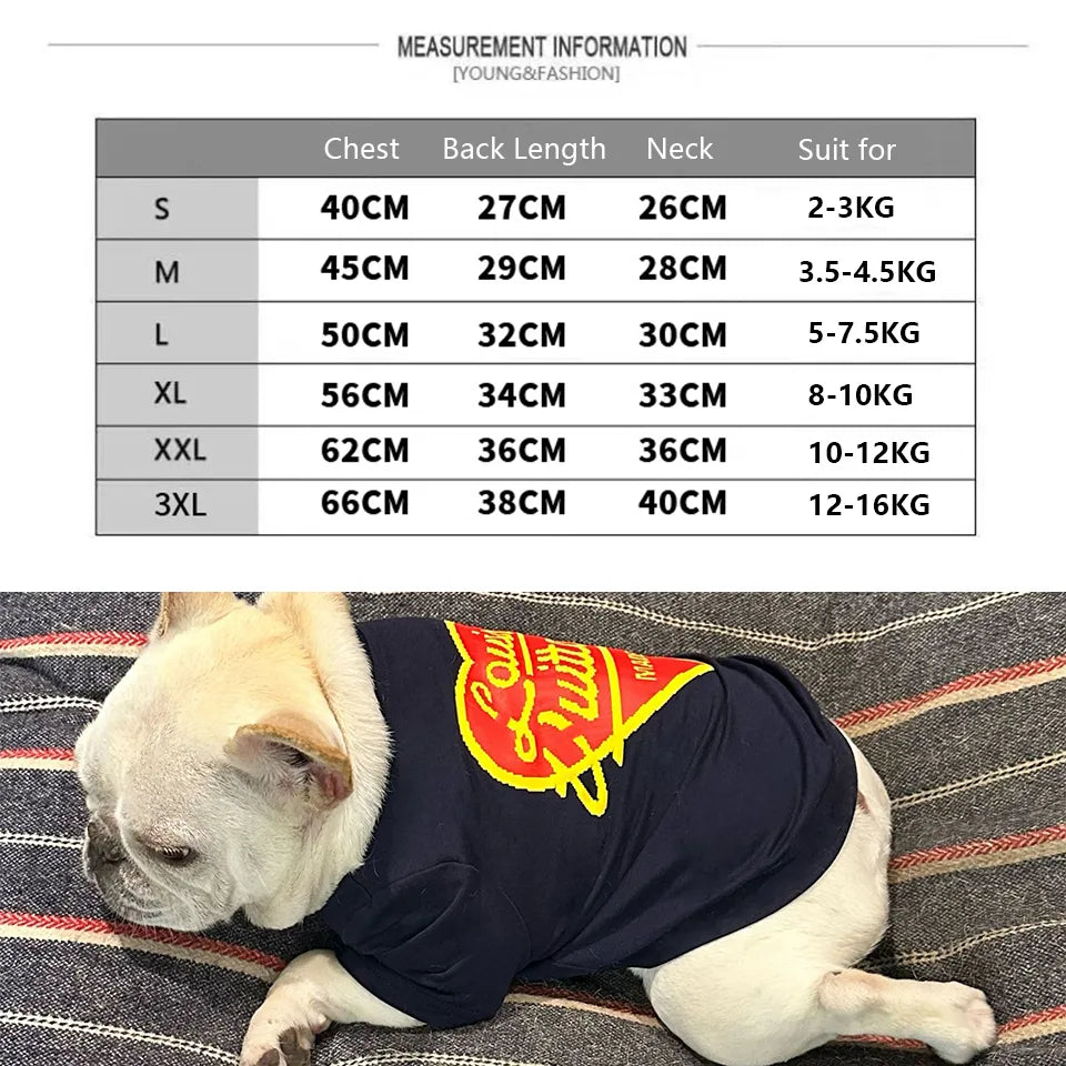 Pouis Vuitton Sweater