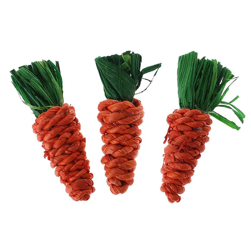 3Pcs/Set Carrot Shaped Small Animal Chew Toy