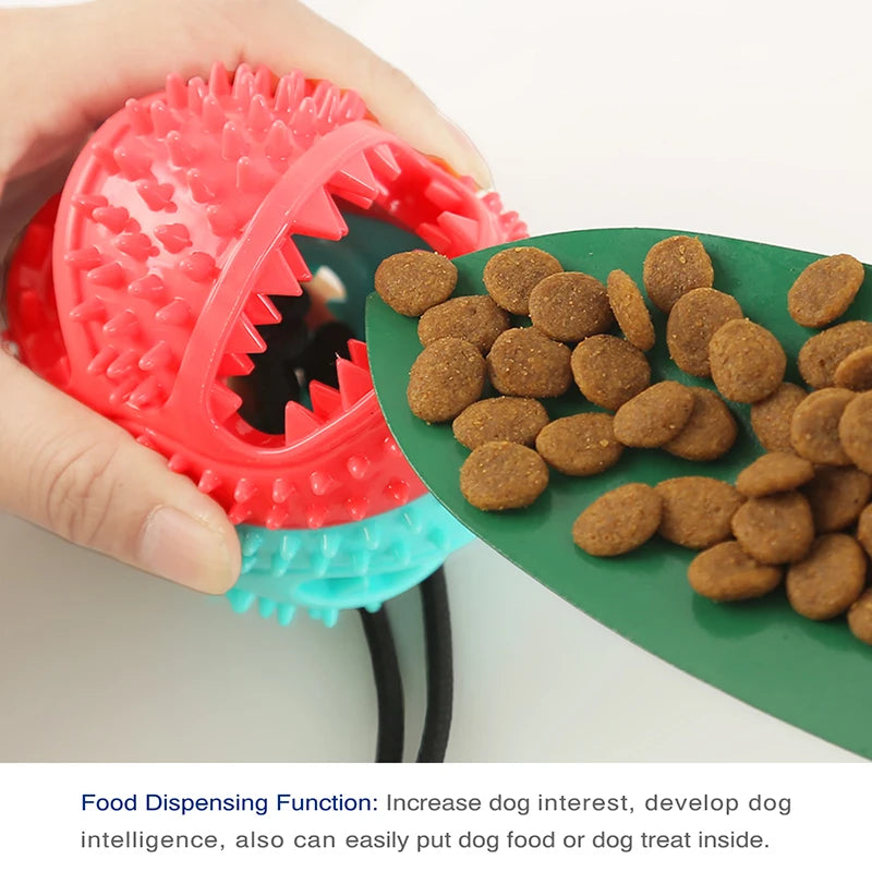 Large Dog Ball Suction Cup