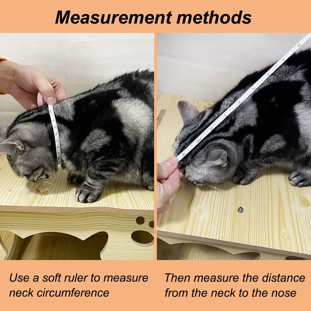Adjustable Recovery Pet Cone