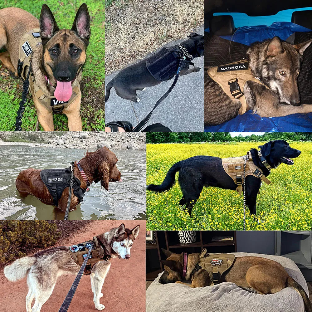 Military Dog Harness And Leash