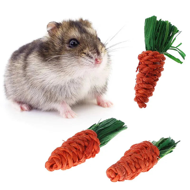 3Pcs/Set Carrot Shaped Small Animal Chew Toy