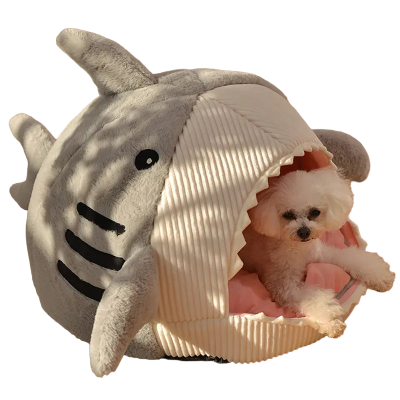 Shark Pet Cave