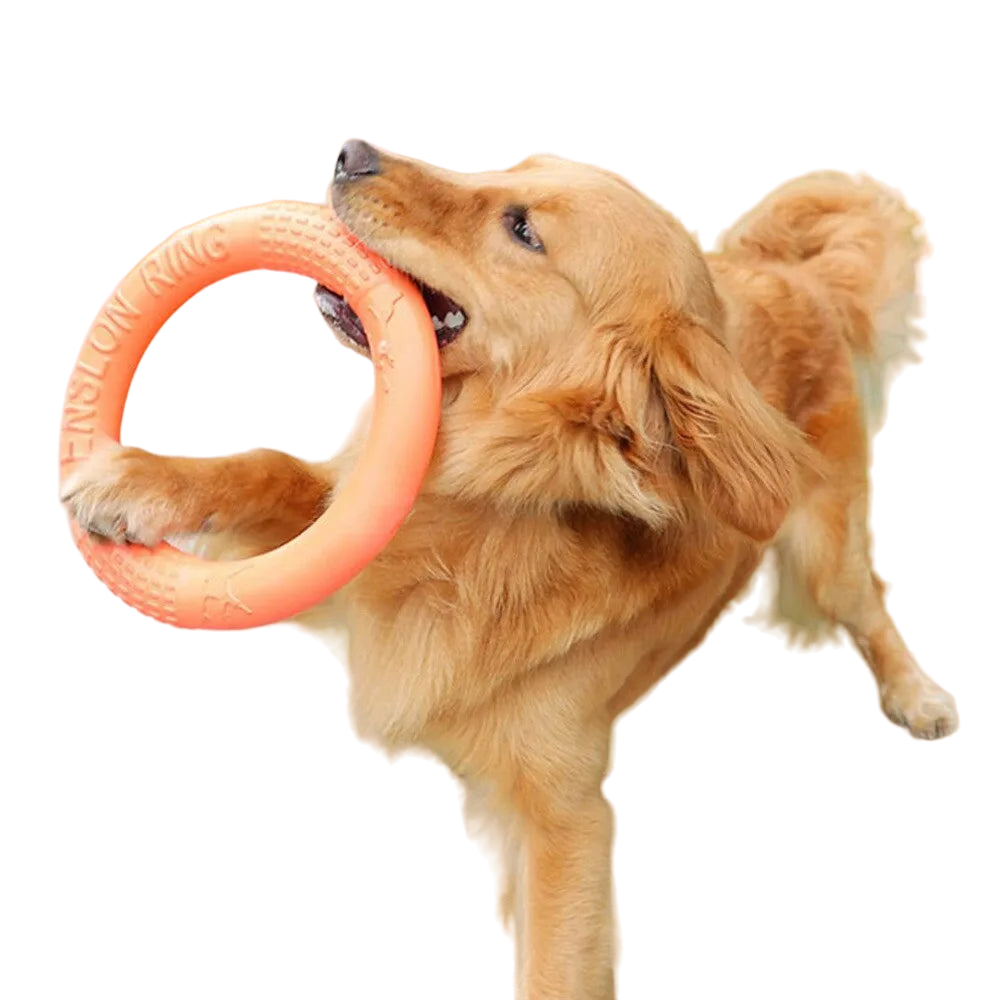 Orange Flying Ring Dogs Toy