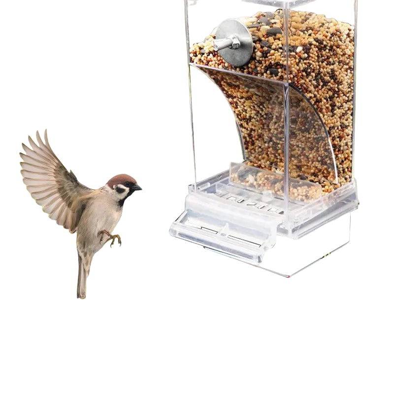 Non-Messy Automatic Bird Feeders