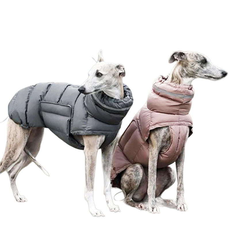 Long Neck Dog Gilet