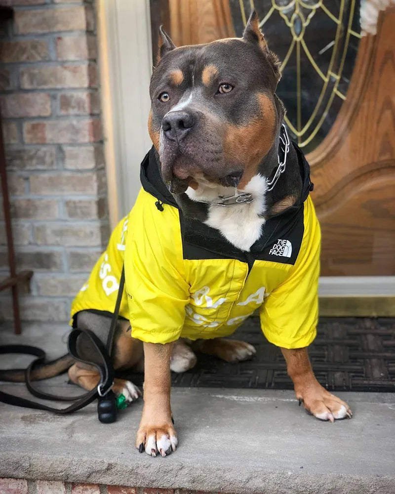 The Dog Fans Windbreaker Jacket