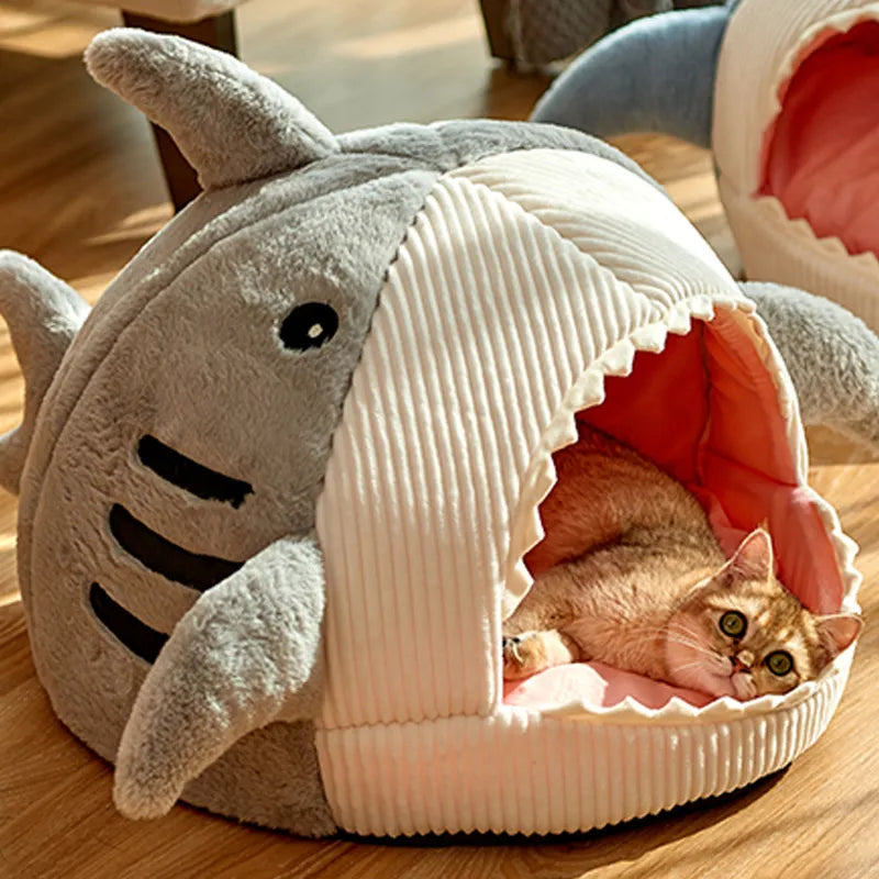 Shark Pet Cave