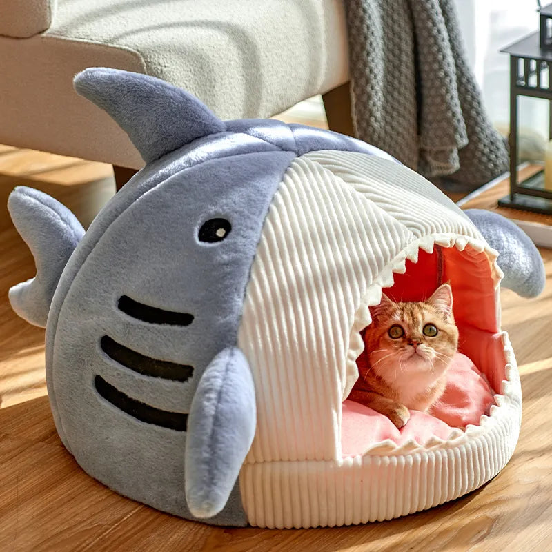 Shark Pet Cave