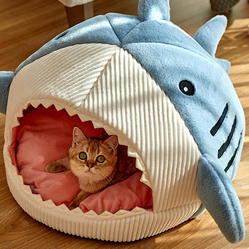 Shark Pet Cave