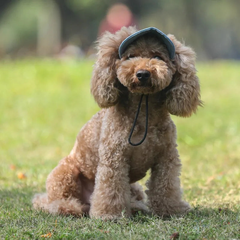 Sun Hat For Dogs Cute Pet Casual Cotton Baseball Cap Chihuahua Yorkshire Pet Products Baseball Cute Cap Size S-XL For Puppy