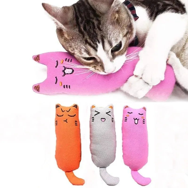 Catnip Toys