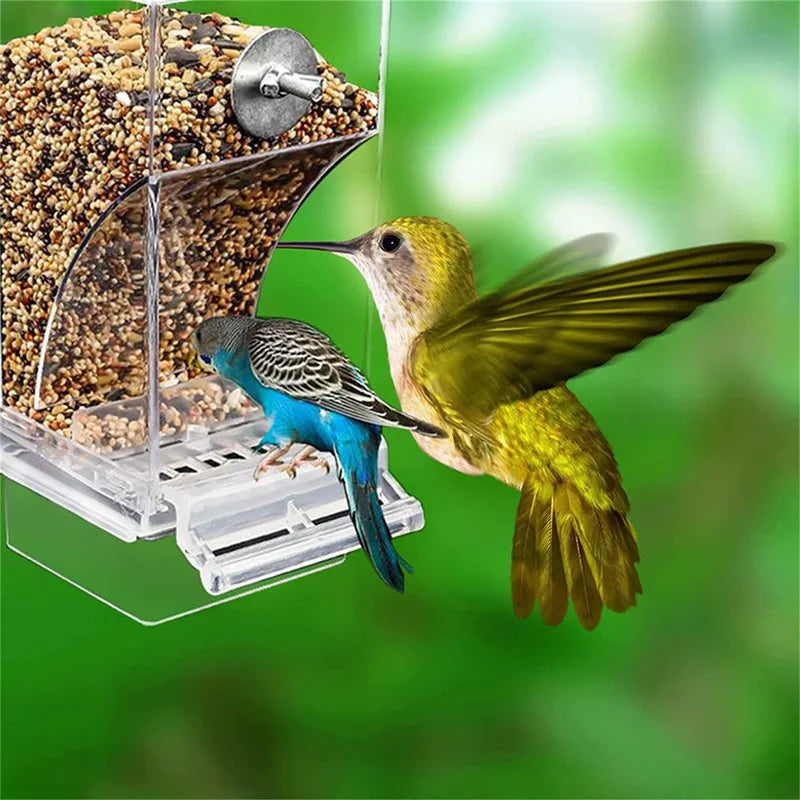 Non-Messy Automatic Bird Feeders