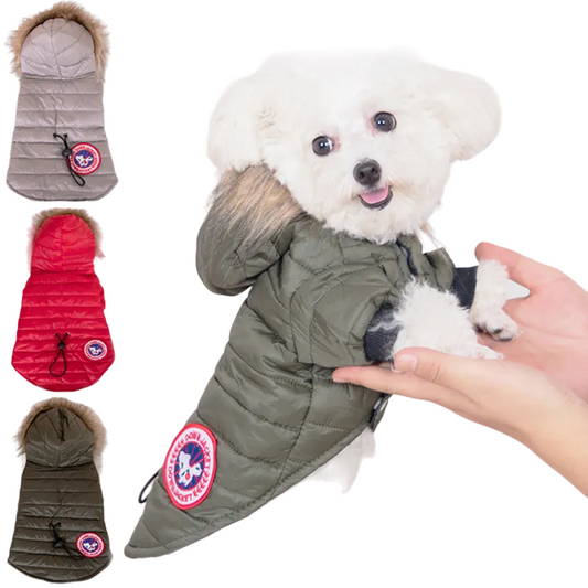 Canada Pooch Hooded Down Jacket