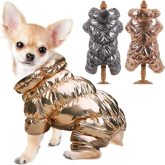 Metallic Pet Coat