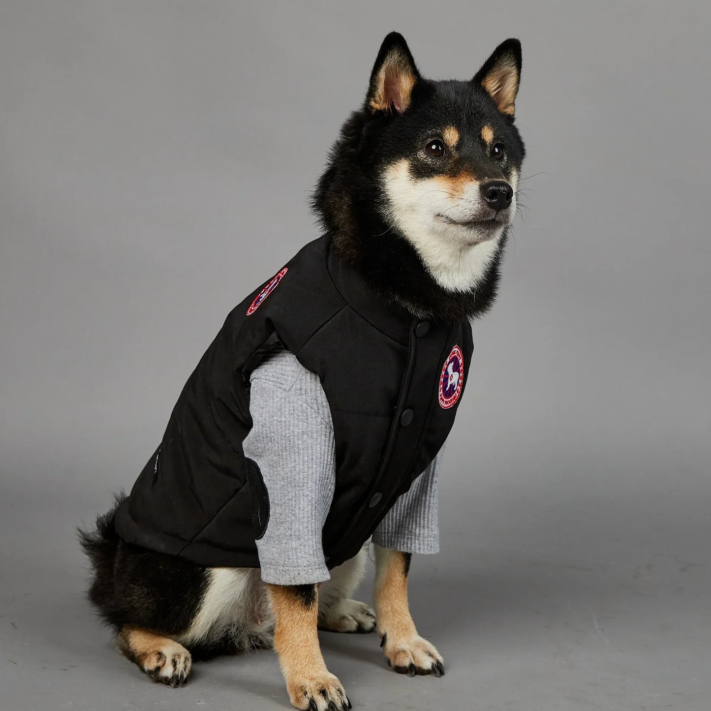 Canada Pooch Gilet