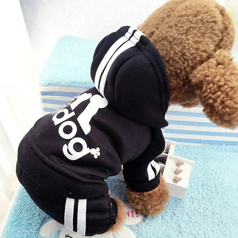 Adidog Pet Tracksuit