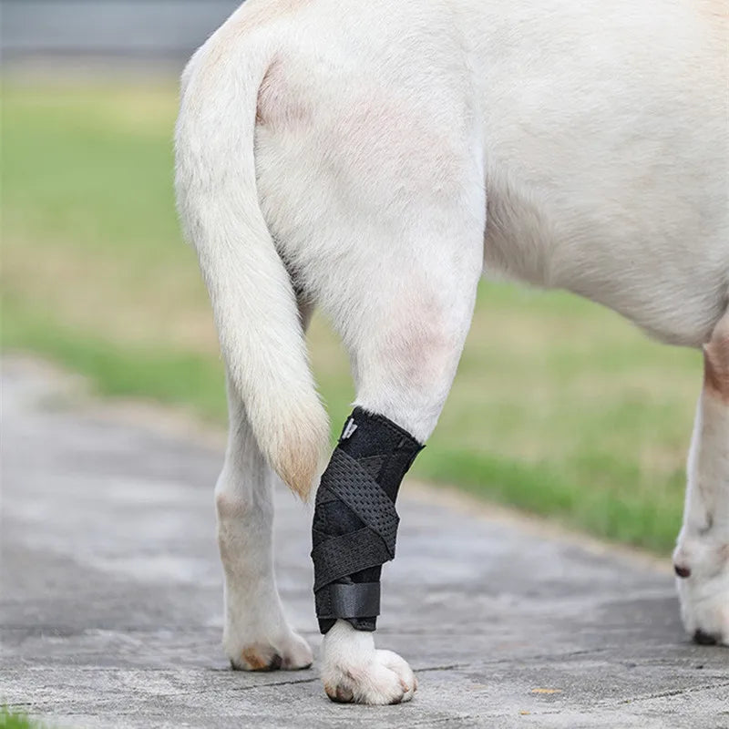 Support Dog Bandage