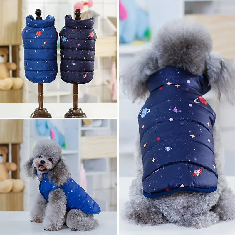 Cool Design Pet Coats