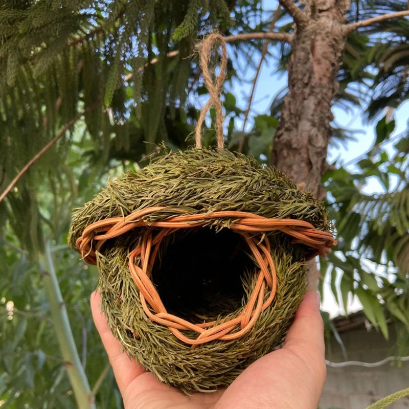 Hanging Natural Birds Nest