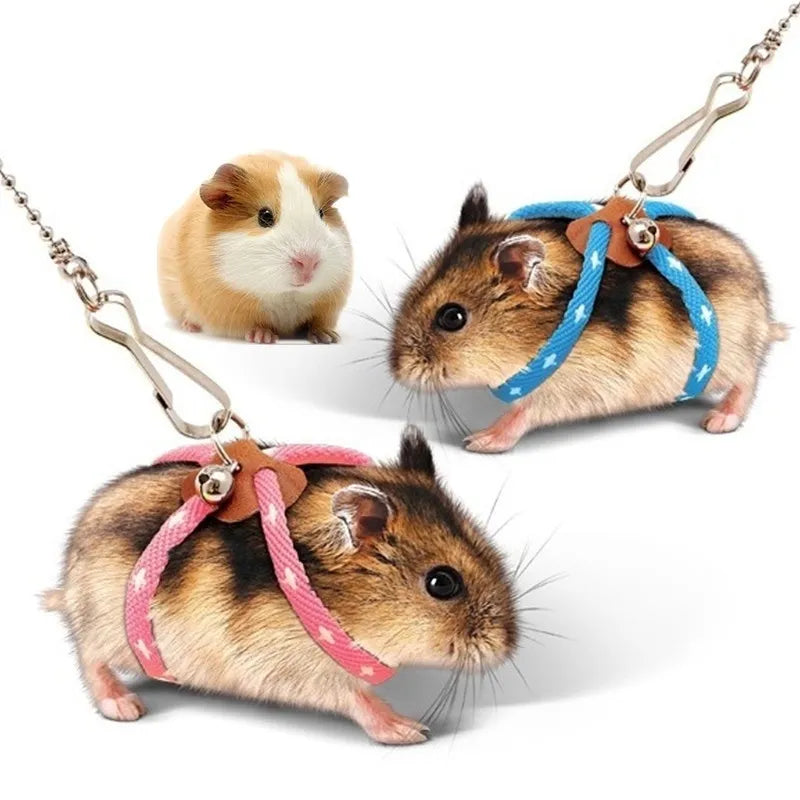 Small Animal Harness & Leash