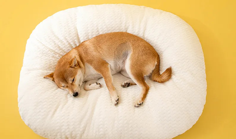 Pet Pillow Sleeping Mat