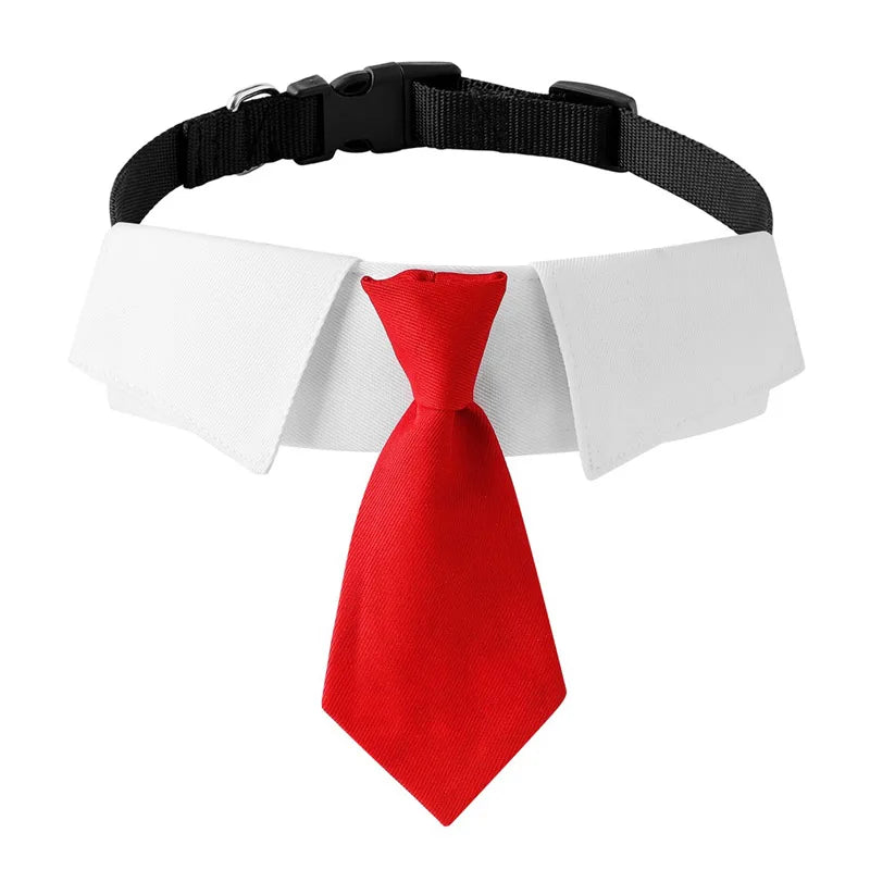 Adjustable Dog Neck-Tie/Collar